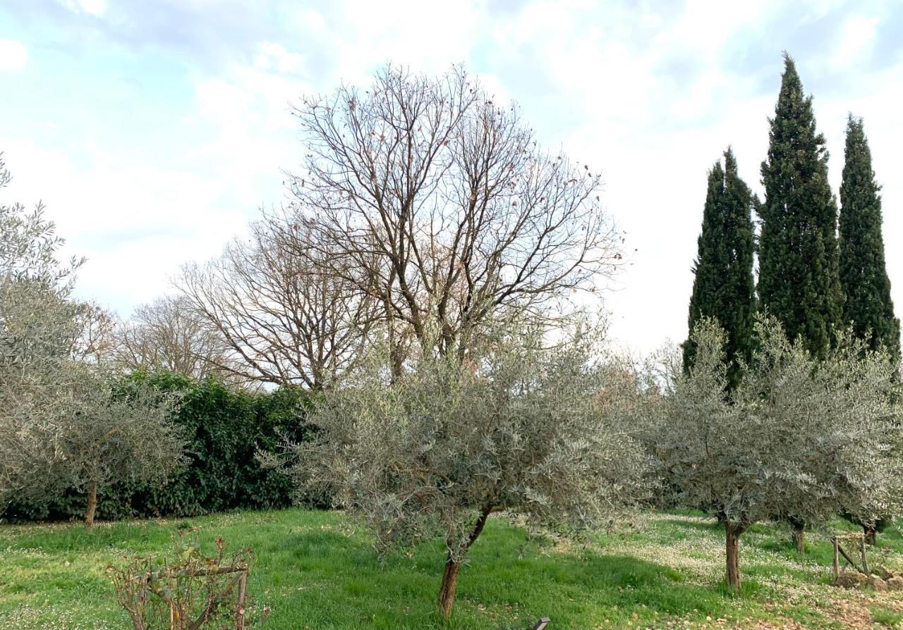 Nepi Oltre La Siepe Apartment מראה חיצוני תמונה